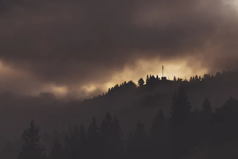 Steal from the System, Give to the People: How Carpathian Outlaw Logic Is Running Through Modern Resistance