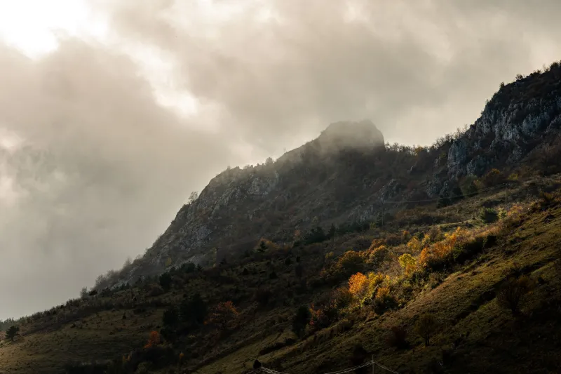 What Guerrilla Fighters, Game Designers, and Activists Are Learning from Carpathian Outlaws