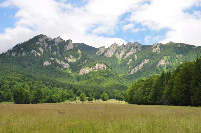 Outlaws of the Carpathians: The Real Men Behind Romania's Most Enduring Rebel Legends